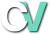 CV Logo